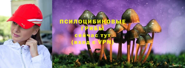 героин Алексин
