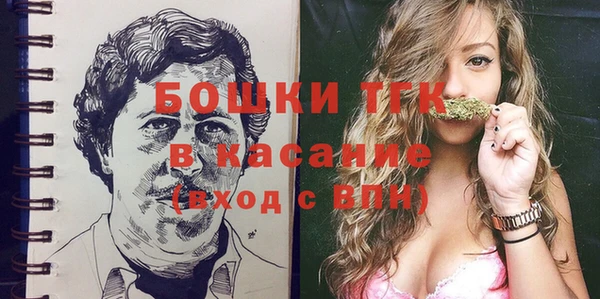 мдпв Пестово