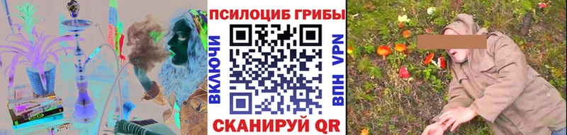 закладки  Яровое  Галлюциногенные грибы Psilocybe 